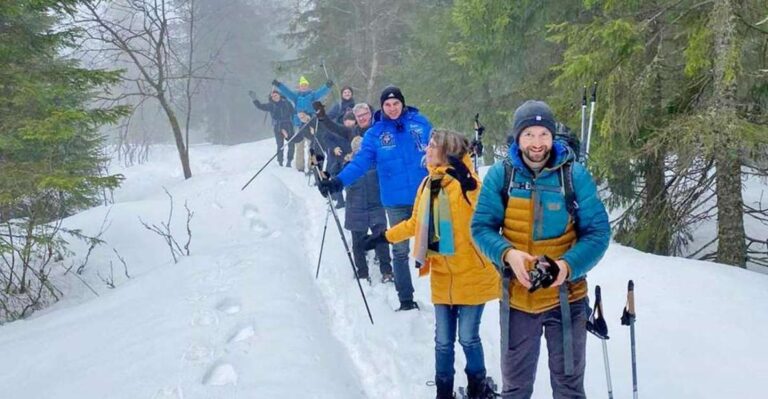 From Oslo: Oslomarka Forest Guided Snowshoeing Tour Overview Of The Snowshoeing Experience