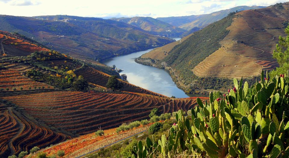 From Porto: Douro Valley Full-Day Tour - Tour Overview