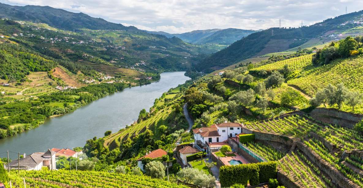 From Porto: Full-Day Douro Historical Tour - Key Points