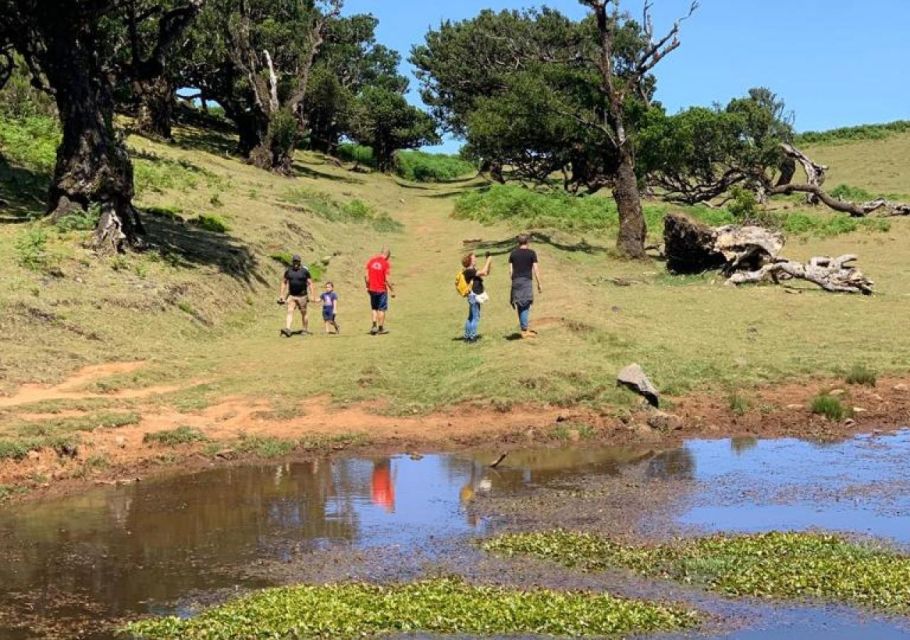 From Porto Moniz: Fanal 4x4 Tour - Key Points