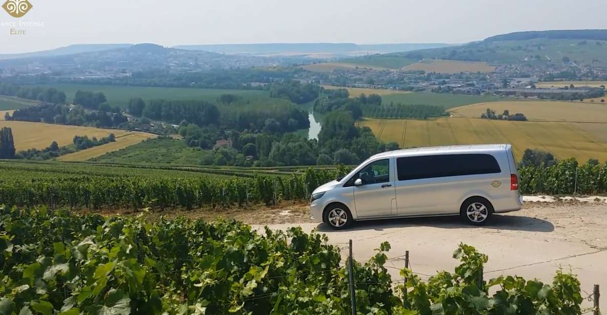 From Reims: Champagne Day Trip to Two Local Domains & Lunch - Key Points