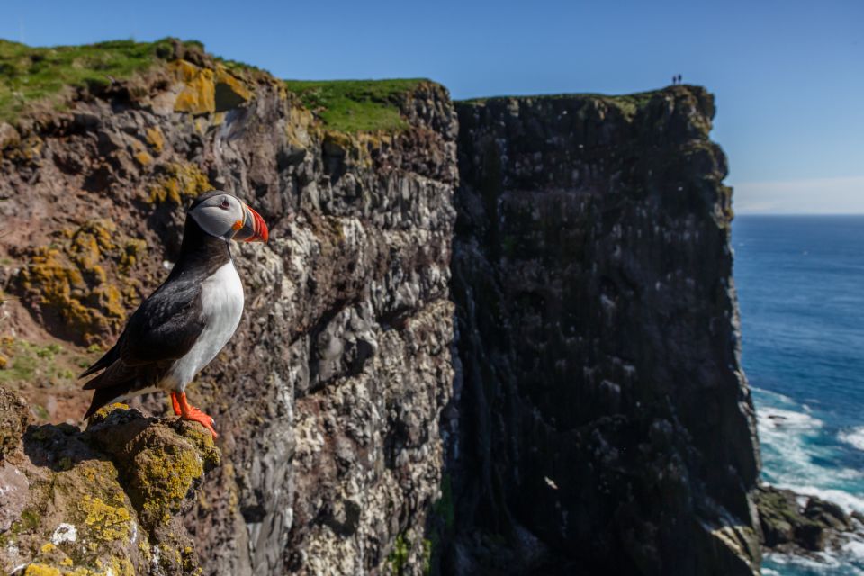 From Reykjavik: 3-Day Tour of the Wild Westfjords - Key Points