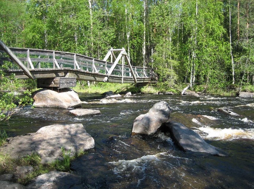 From Rovaniemi: Vikaköngas Forest Hiking Tour With BBQ - Key Points