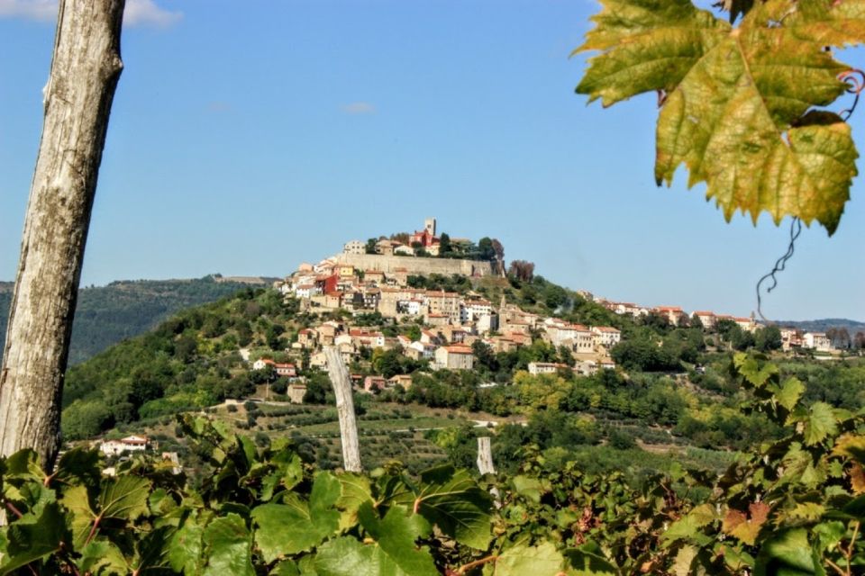 From Rovinj: Istria in 1 Day Tour With Truffle Tasting - Key Points