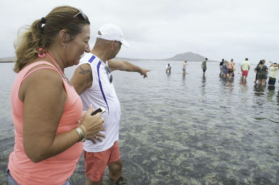 From Santa Maria: Guided Lemon Shark Watching - Key Points