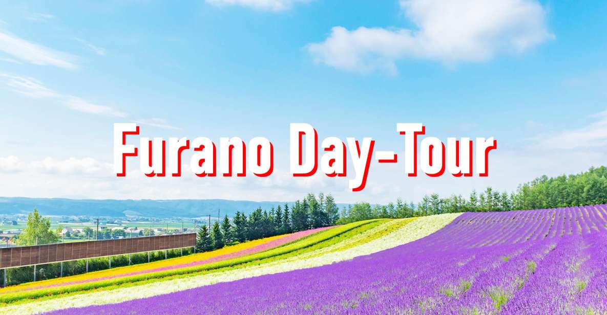 From Sapporo: 10-hour Customized Private Tour to Furano - Key Points