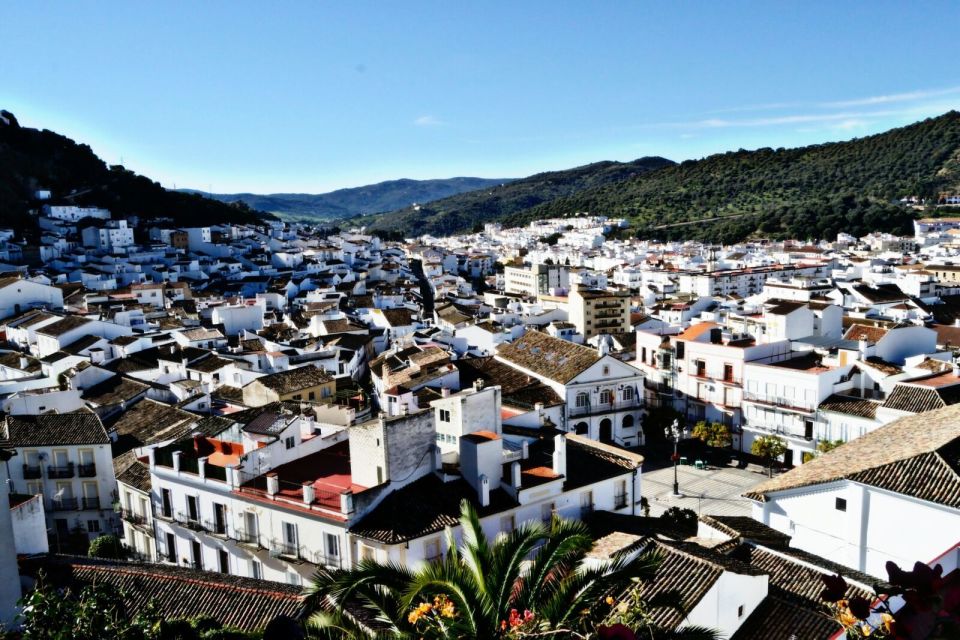 From Seville: White Villages Tour - Key Points