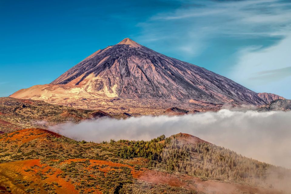 From South Tenerife: Mount Teide Hiking Day Trip & Cable Car - Key Points