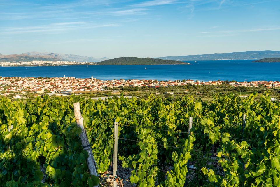 From Split: Vineyard Wine Tasting Experience With a Sea View - Key Points