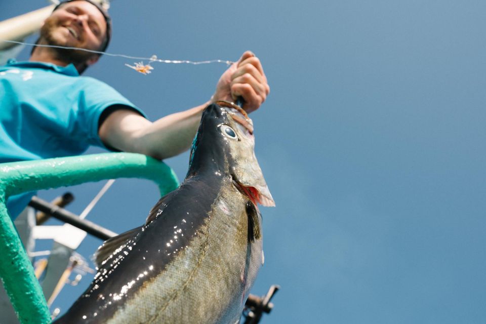 From Svolvaer: Lofoten Fishing Boat Cruise - Key Points