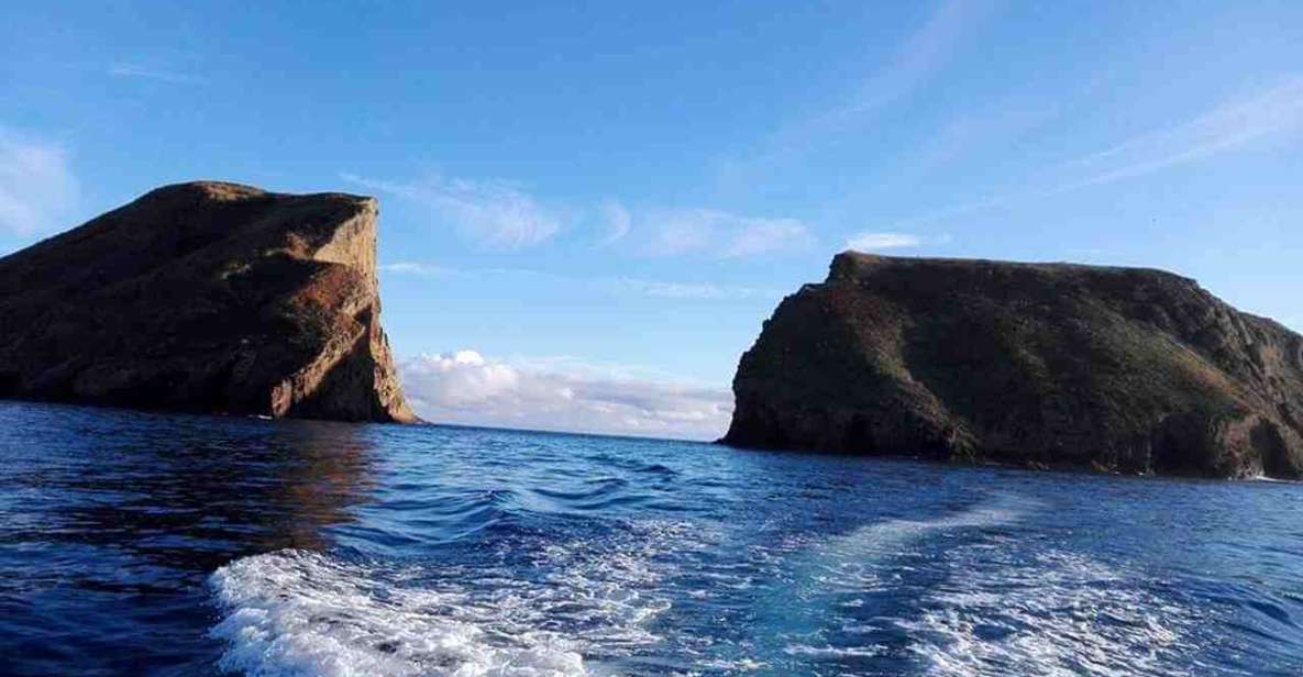 From Terceira Island: Ilhéu Das Cabras Snorkeling Boat Tour - Key Points