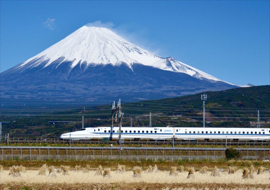 From Tokyo: Mt. Fuji & Hakone Tour W/ Return by Bullet Train - Key Points