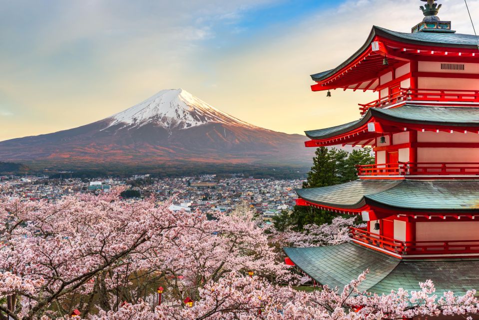 From Tokyo: Mt. Fuji or Hakone Private Sightseeing Day Trip - Key Points