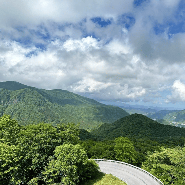 From Tokyo: Private Nikko World Heritage Sights Day Trip - Key Points