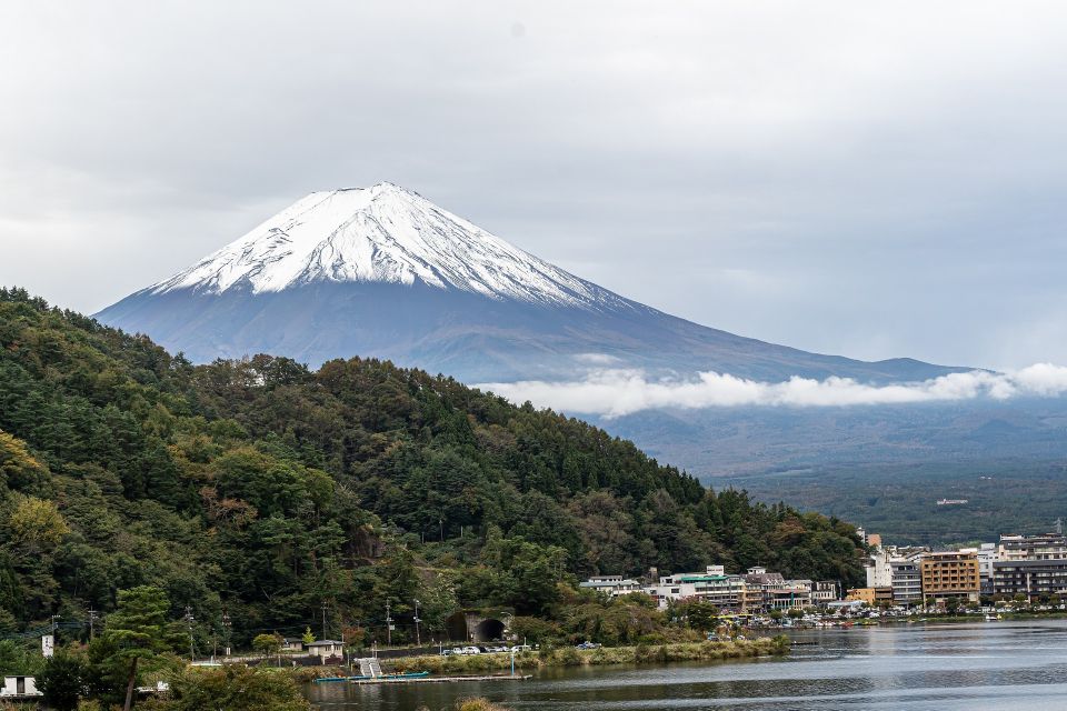 From Tokyo: Private Scenic Day Trip to Kawaguchi-Ko Lake - Key Points