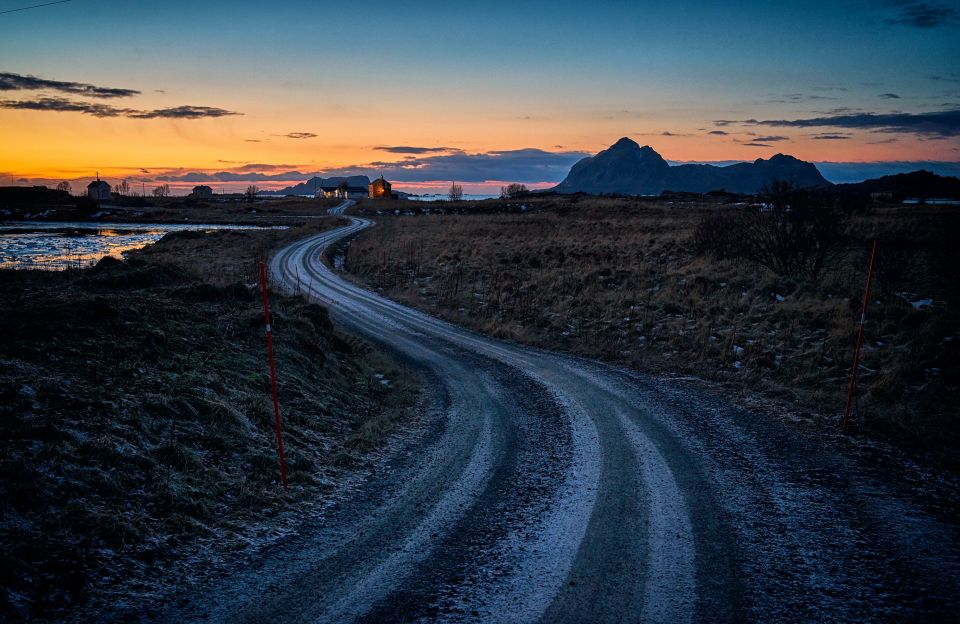 From Tromsø: Arctic Wildlife & Fjord Sightseeing Tour by Car - Key Points