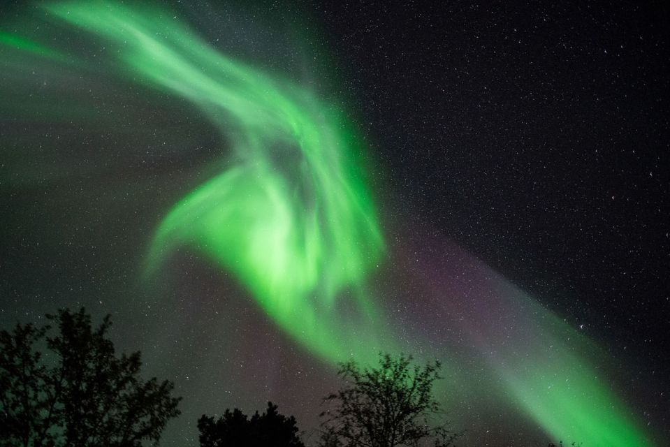 From Tromsø: Northern Lights Chase by Boat - Key Points