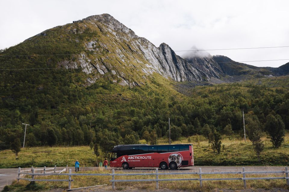 From Tromsø: Self-Guided Fjord Tour to Senja and Local Lunch - Key Points