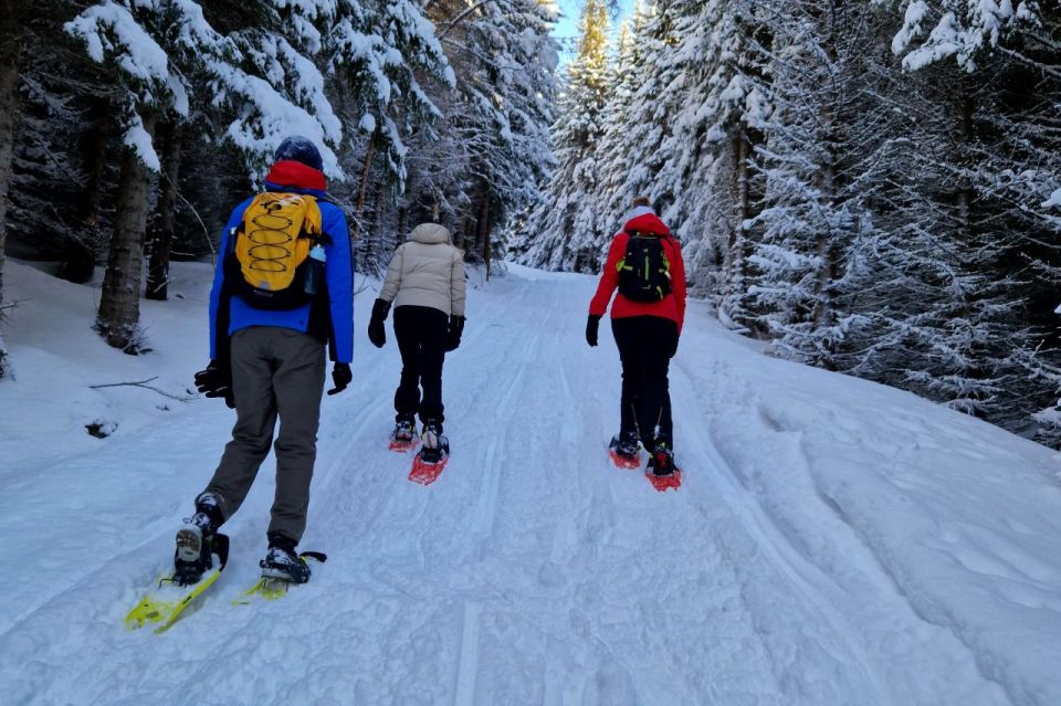 From Tromsø: Snowshoe Hike in the Arctic - Key Points