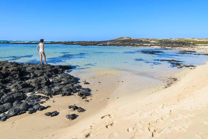 Fuerteventura: Guided Highlights GRAND ISLAND TOUR Max 8 People - Key Points