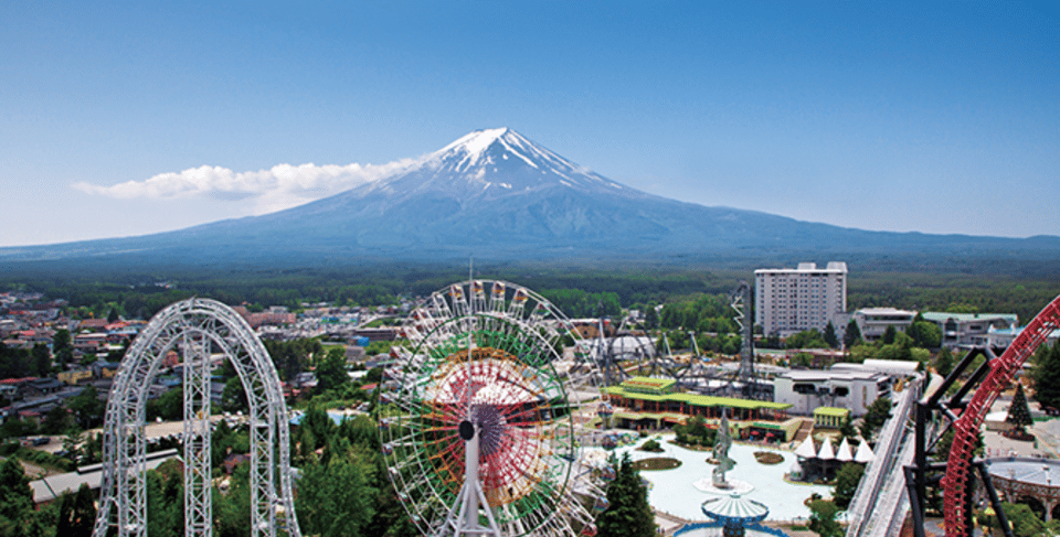 Fuji-Q Highland Amusement Park: 1 Day Private Tour by Car - Key Points