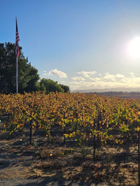 Full-Day Inclusive Wine Tasting Tour From Santa Ynez Valley - Key Points