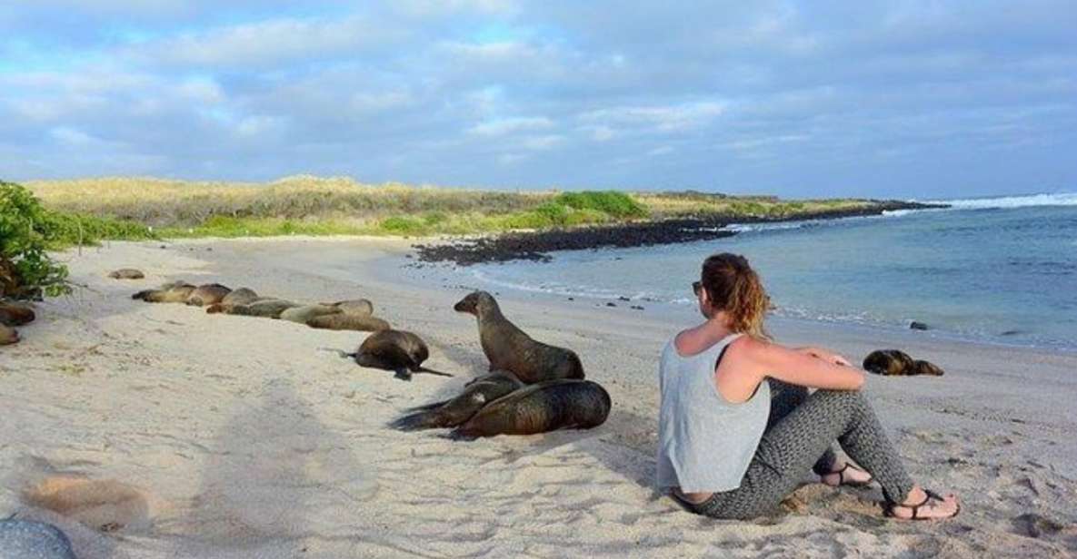 Full Day Leon Dormido and Lobos Island Tour - Key Points