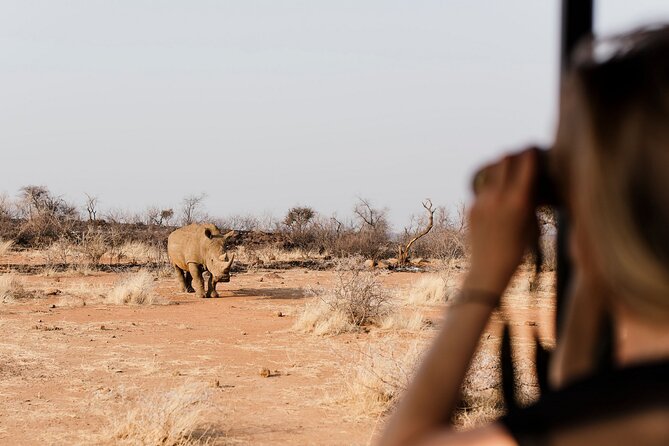 Full Day Pilanesberg Safari Adventure - Key Points