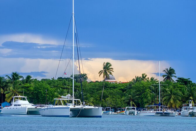 Full Day Private Tour to Isla Saona - Tour Overview