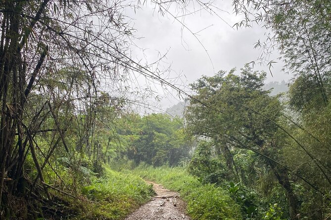 Full-Day Tinajas Hiking to El Yunque Rainforest With Transport - Highlight Experiences