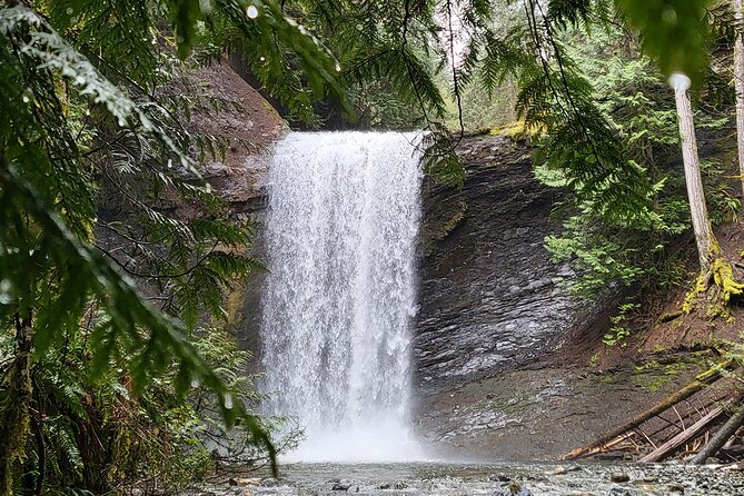 Full Day Tour, Waterfalls, Caves, Old Growth On Vancouver Island Key Points