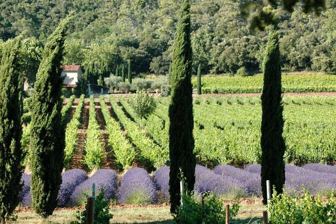 Full-Day Wine Tour Around Luberon From Marseille - Key Points