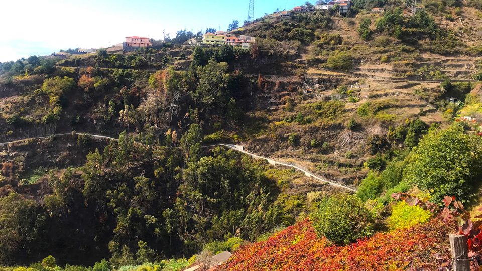 Funchal: Northern Levada Walking Tour - Key Points