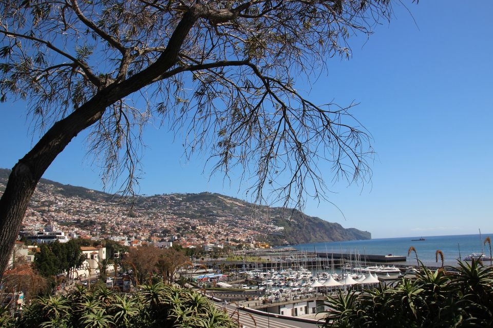 Funchal: Private Tour With a Local Guide - Tour Overview