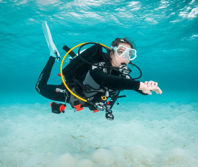 Funchal: Scuba Diving Experience for Beginners - Key Points