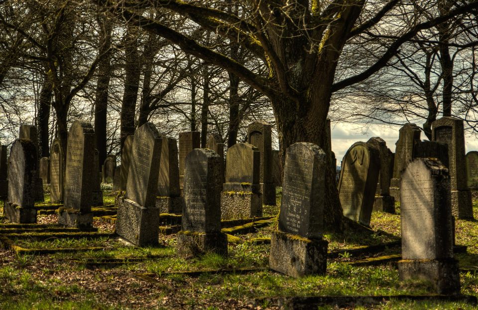 Galveston: Old City Cemetery Walking Tour With Local Guide - Tour Experience and Highlights