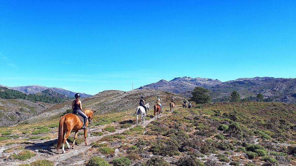 Gerês Braga: Horseback Ride in Peneda-Gerês National Park - Key Points