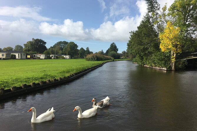 Giethoorn and Zaanse Schans Day Tour Small Group Incl. Boat Ride - Zaanse Schans Highlights