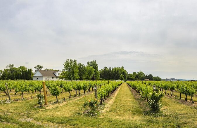 Grand Winery Tour - Rolls Royce - Niagara On The Lake - Key Points