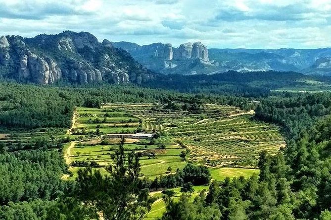 Greenway Section Cretas - Horta De Sant Joan 11KM (90% Descending 10% Flat) - Key Points