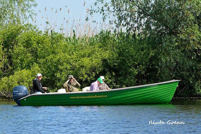 Guided Birdwatching Day Trip to the Danube Delta - Private Program - Key Points