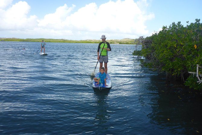 Guided Paddleboarding (Sup) Mangrove ECO Tour for Beginners - Overview of the Tour