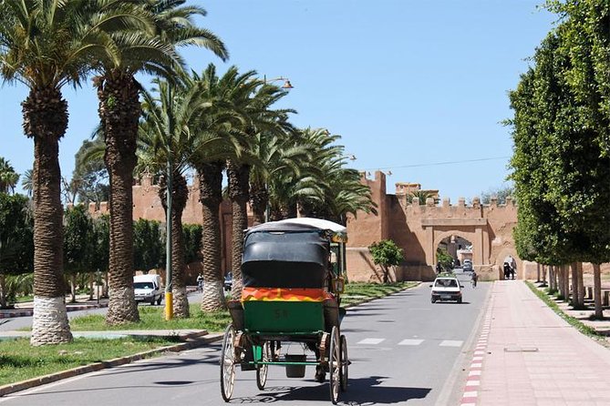 Guided Shared Day Trip Agadir to Marrakech Medina & Souks - Key Points