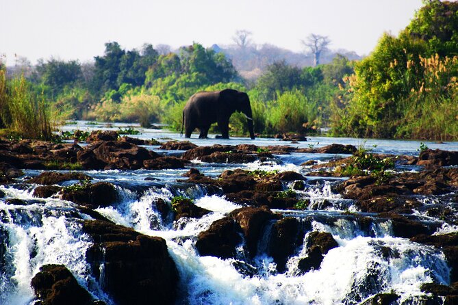 Guided Tour of the Falls (Zim Side) Wildlife Safari, by Savannah - Key Points