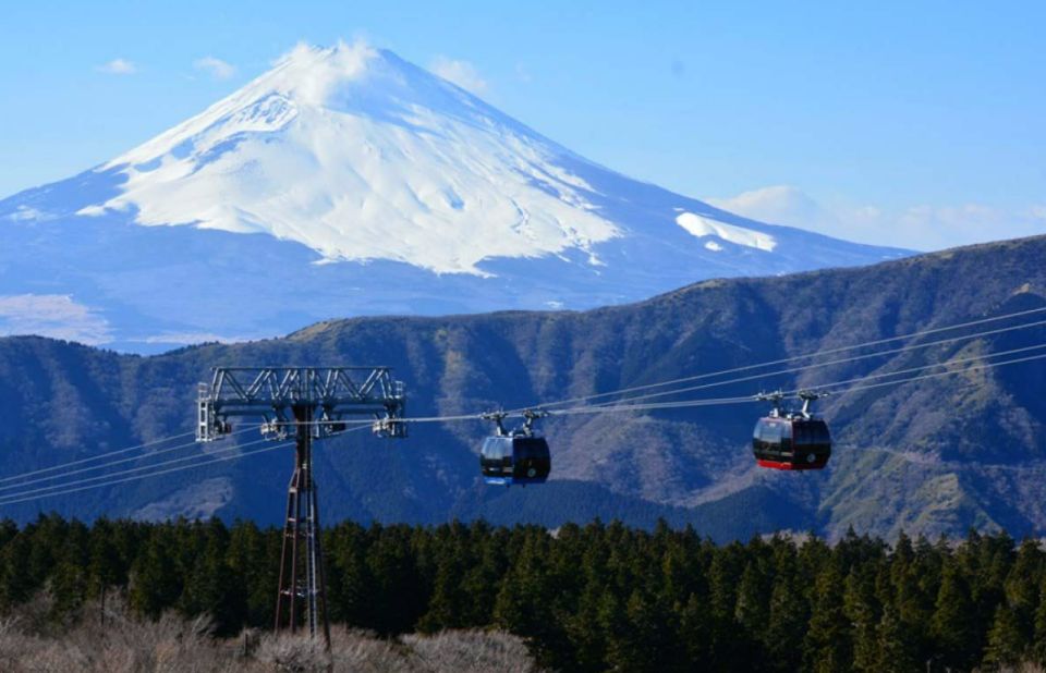 Hakone: 10-hour Customizable Private Tour - Key Points