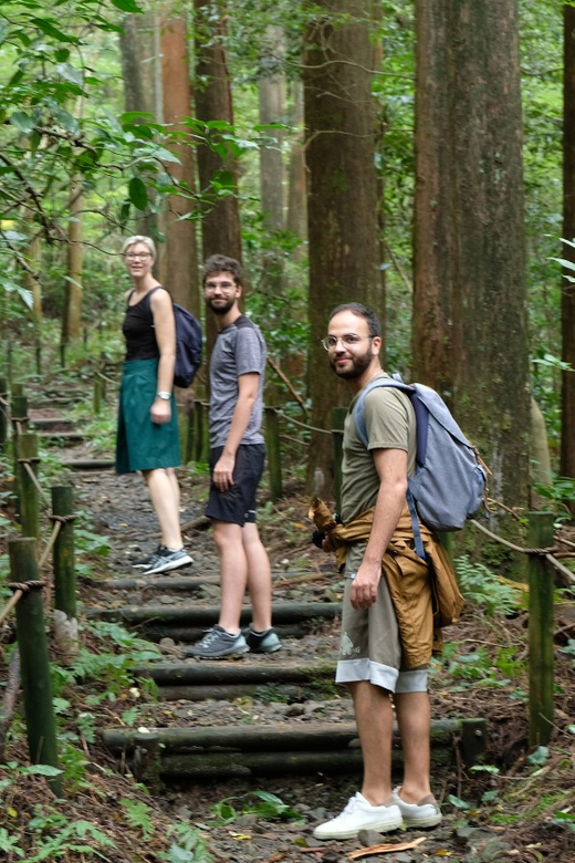 Hakone Hachiri: Old Tokaido Highway Hiking Tour - Itinerary Highlights