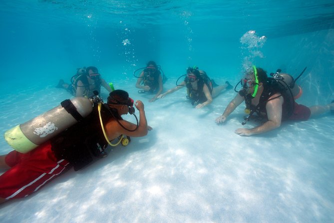 Half-Day Aruba Intro Diving Course for Beginners - Dive Activities and Exploration