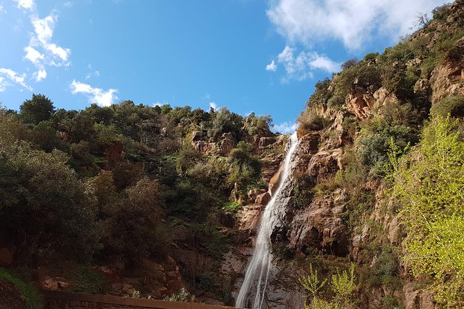 Half-Day Atlas Mountains Tour From Marrakech - Key Points