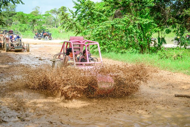 Half-Day Buggy Tour to Water Cave and Macao Beach - Travel and Logistics