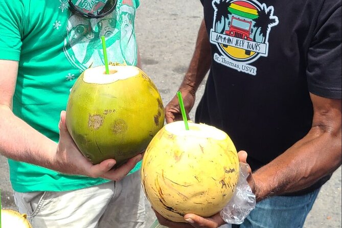 Half Day Cultural Jeep Adventure - 4 Hr Tour St. Thomas - Overview of the Adventure